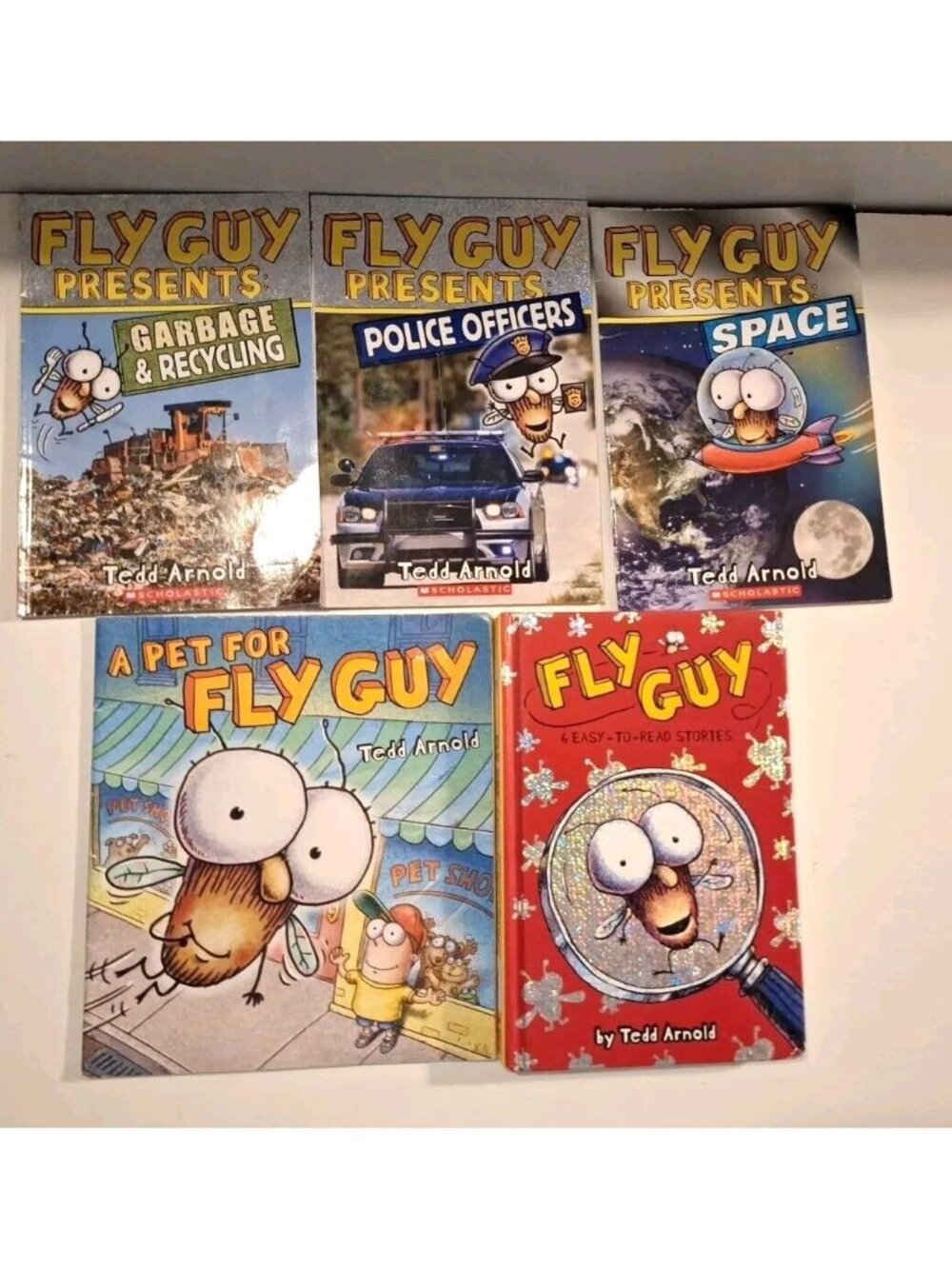 Fly Guy 10 Stories in 5 Books Lot Level 2 Readers Tedd Arnold Scholastic